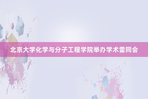 北京大学化学与分子工程学院举办学术雷同会