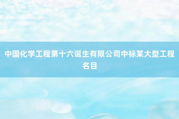 中国化学工程第十六诞生有限公司中标某大型工程名目